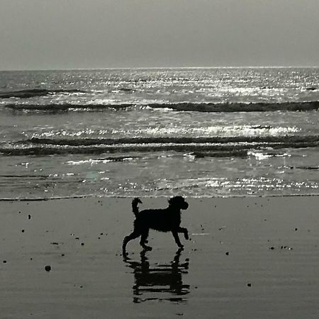 הוילה וורטינג Warwick House - Stunning House With Terrace And Sea Views, Sleeps 11 מראה חיצוני תמונה