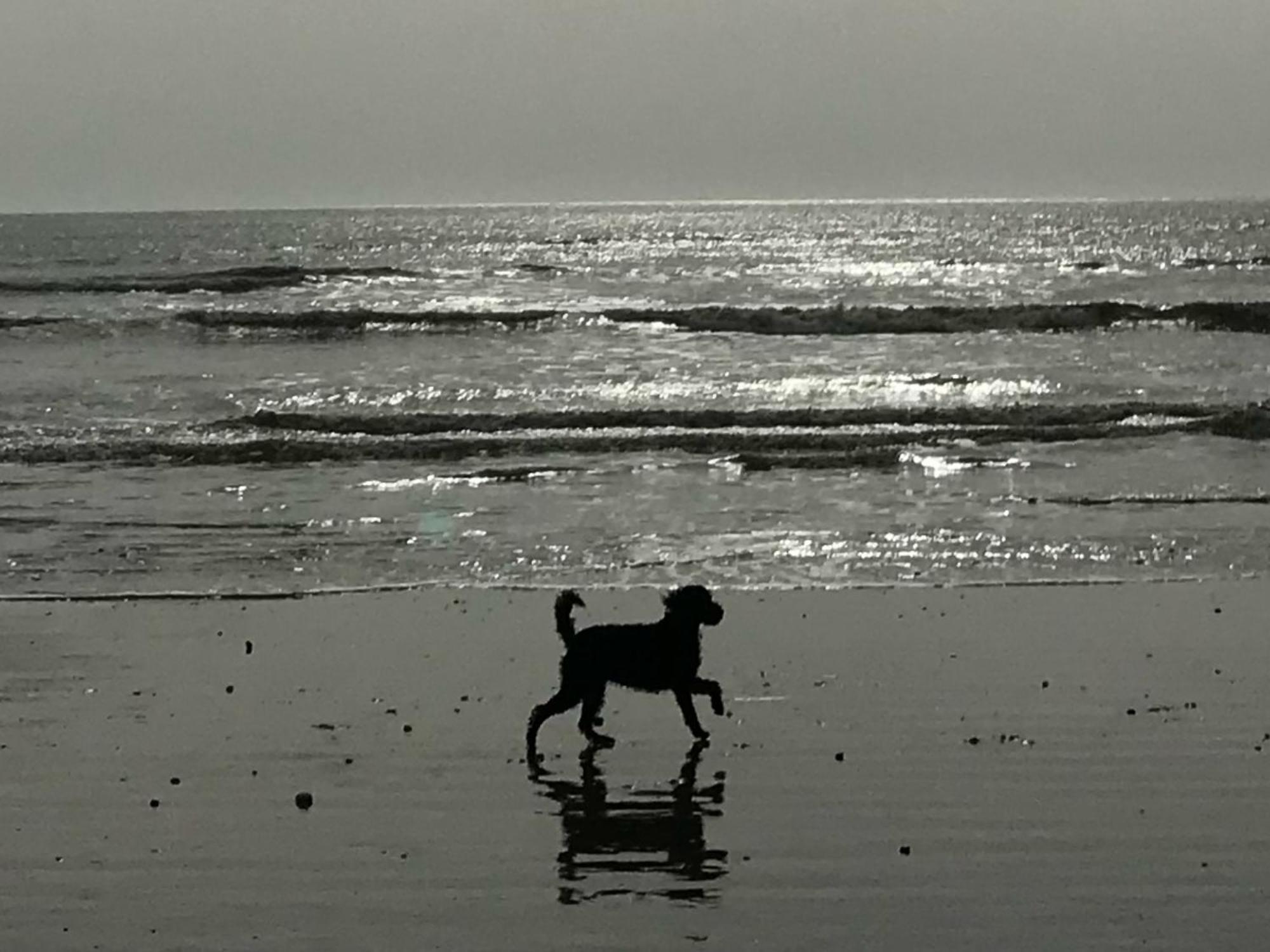 הוילה וורטינג Warwick House - Stunning House With Terrace And Sea Views, Sleeps 11 מראה חיצוני תמונה